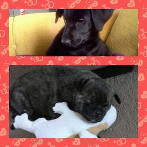 Meet your Posher, Stephanie rae